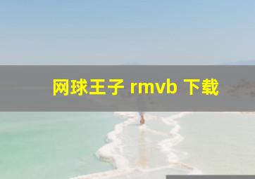 网球王子 rmvb 下载